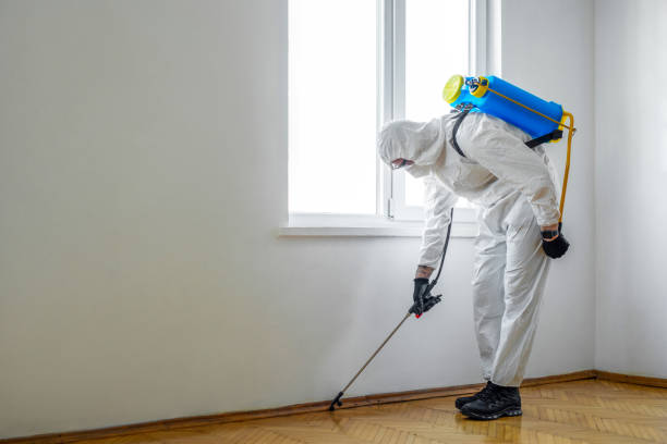 Best Termite Control Services  in Cavalero, WA