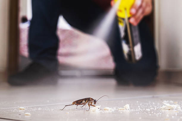 Best Residential Pest Control  in Cavalero, WA