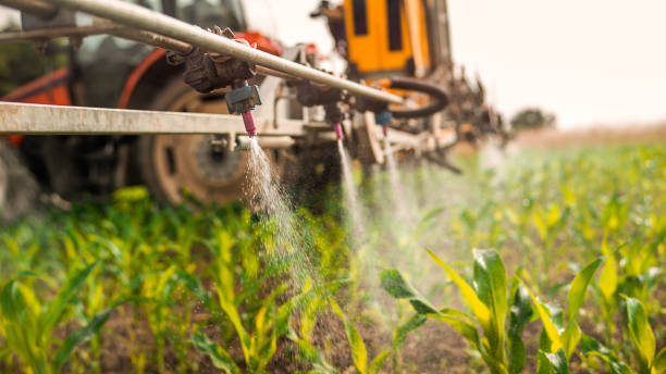  Cavalero, WA Pest Control Pros